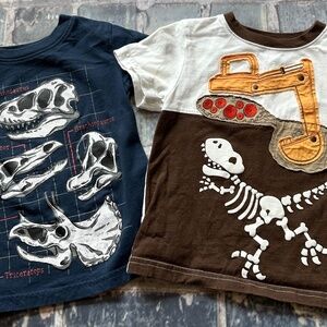 Two dinosaur toddler shirts, size 2T